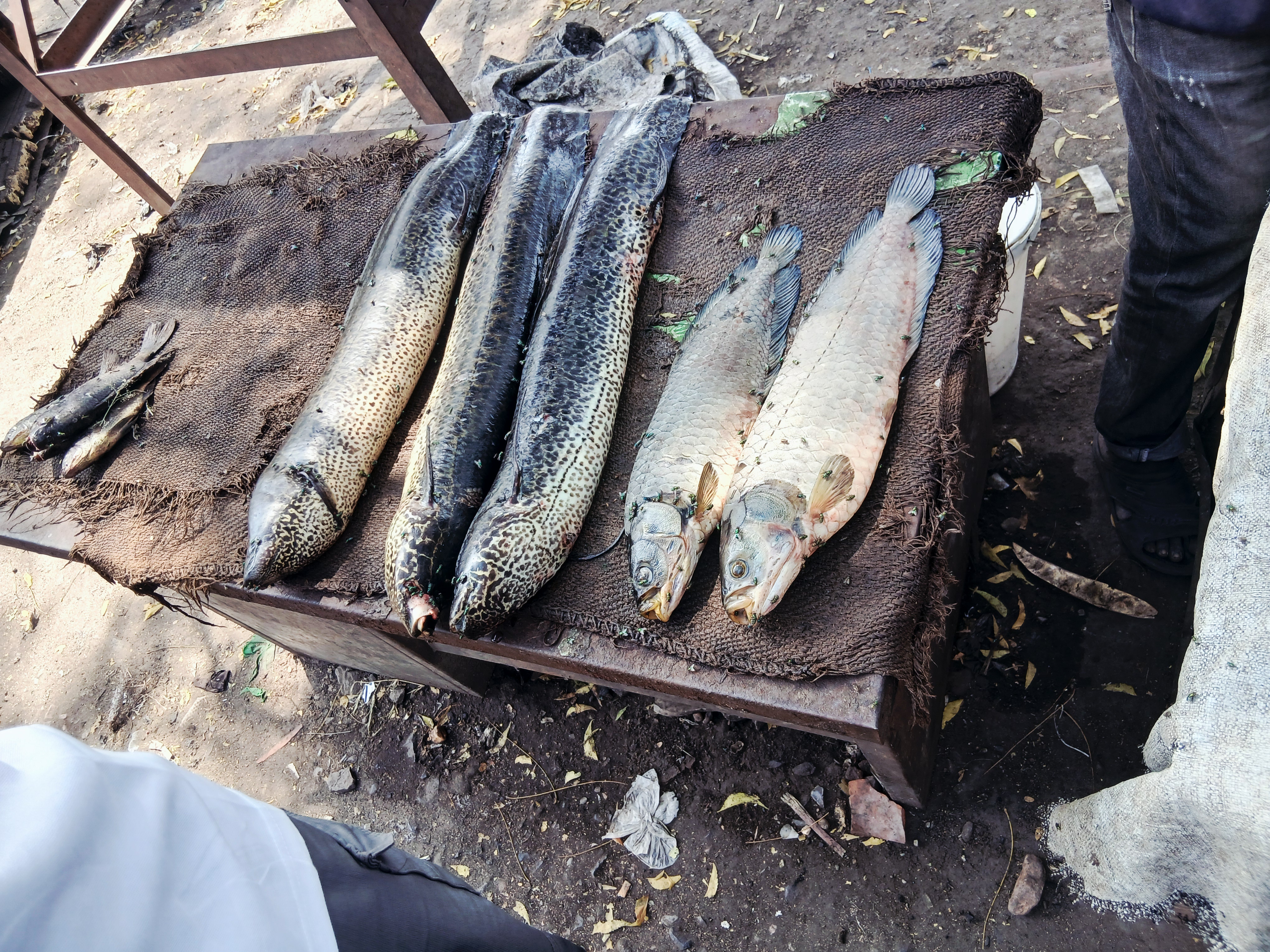 Food Value Chain Project Image 1